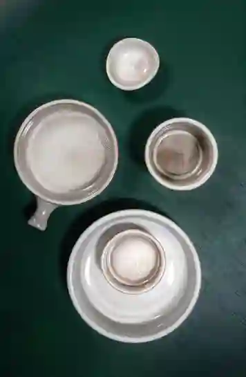 imageAltText