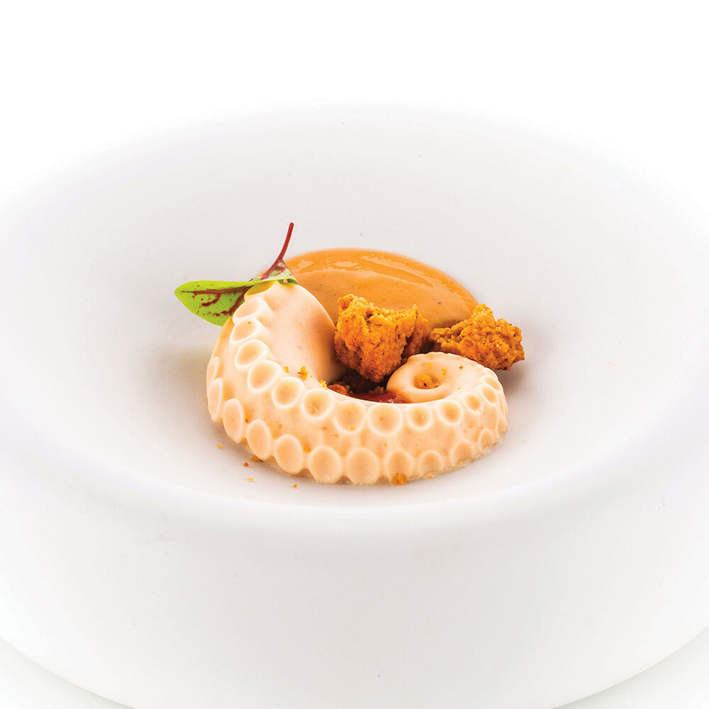 Dysfagiform Blæksprutte