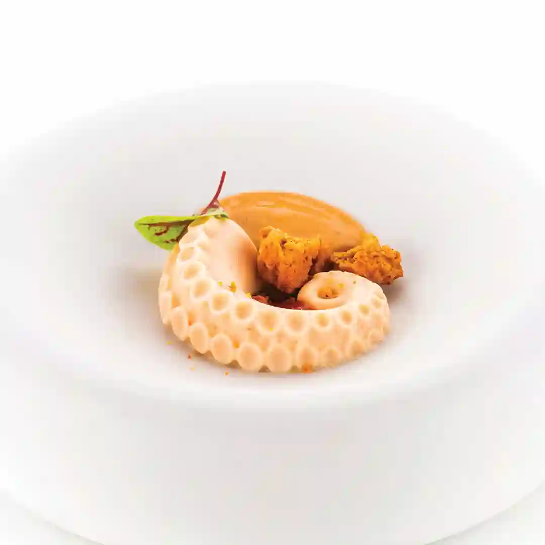 Dysfagiform Blæksprutte