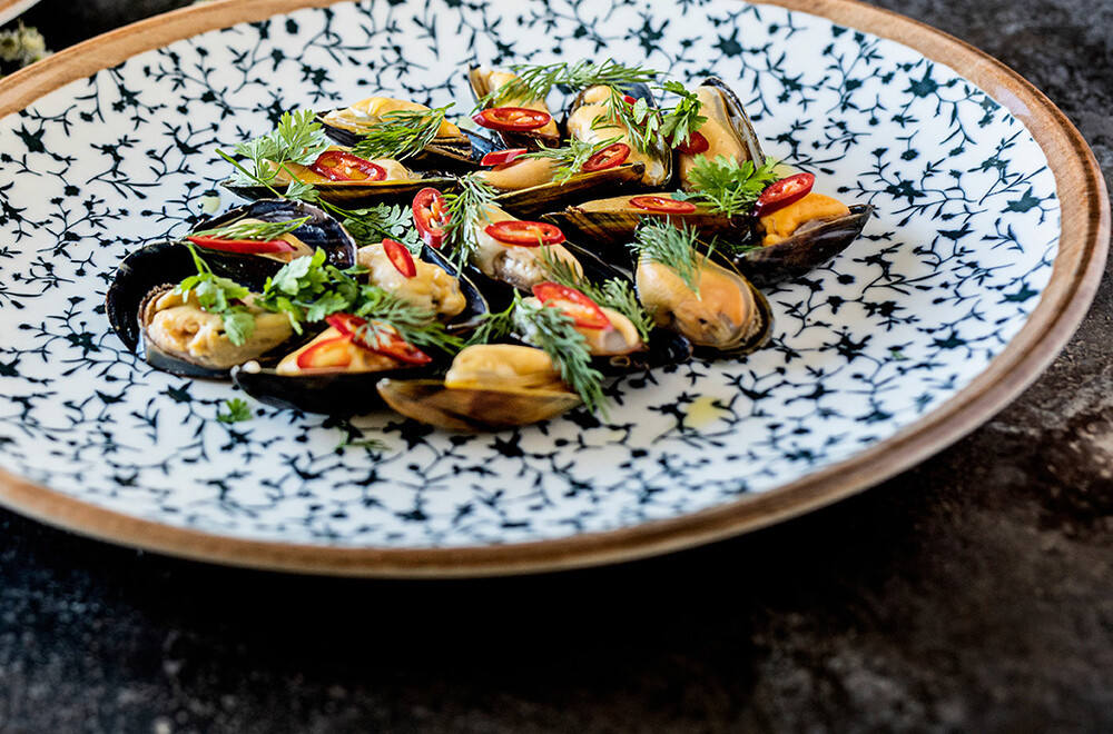 Tallerken Flad Calif