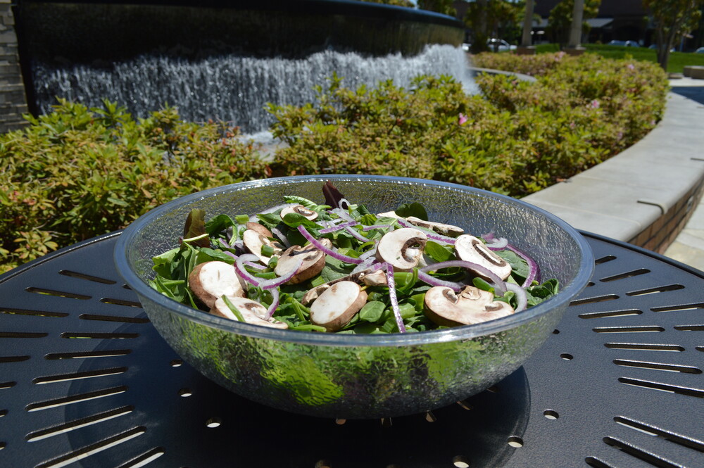 Skål u/låg Camwear