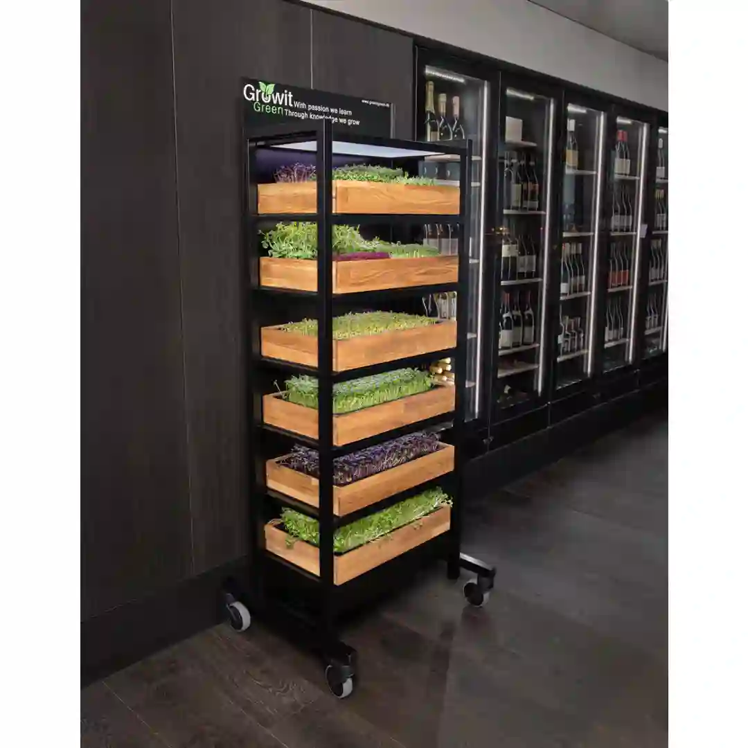 Hjulsæt Growit Green