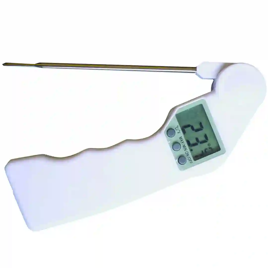 Termometer Digital