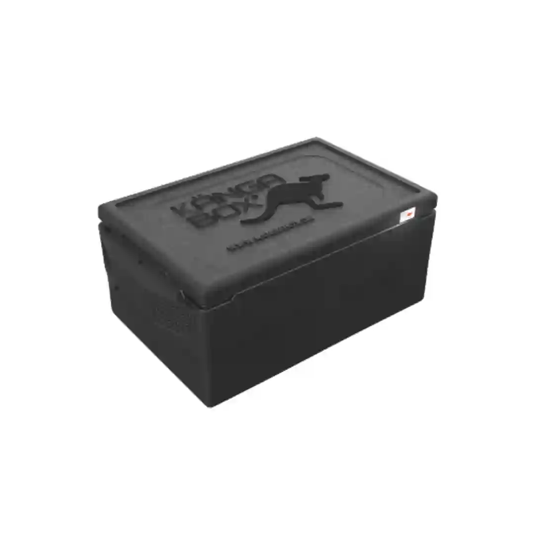 Termokasse 1/1 GN Prof