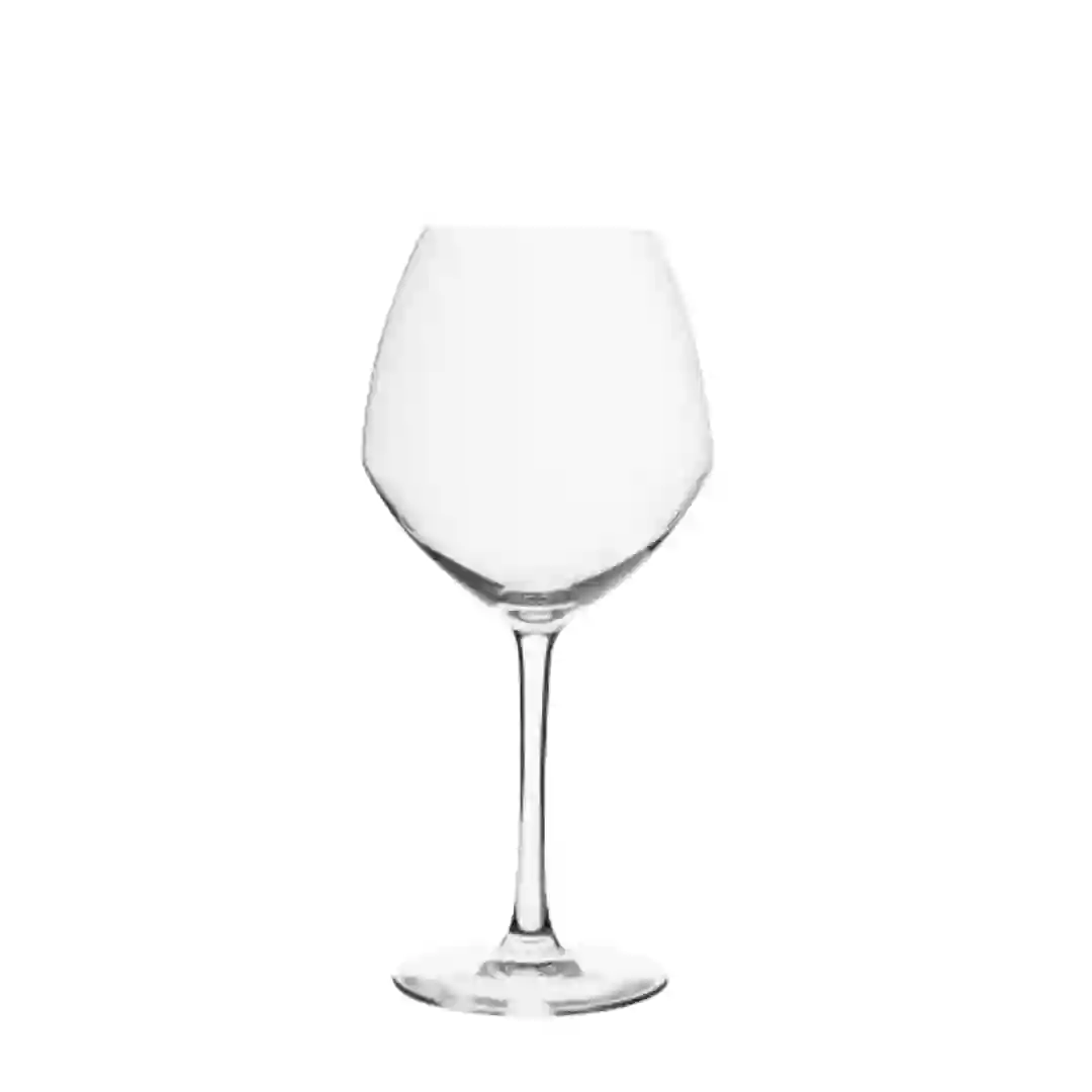 Vinglas Vins Jeunes Cabernet