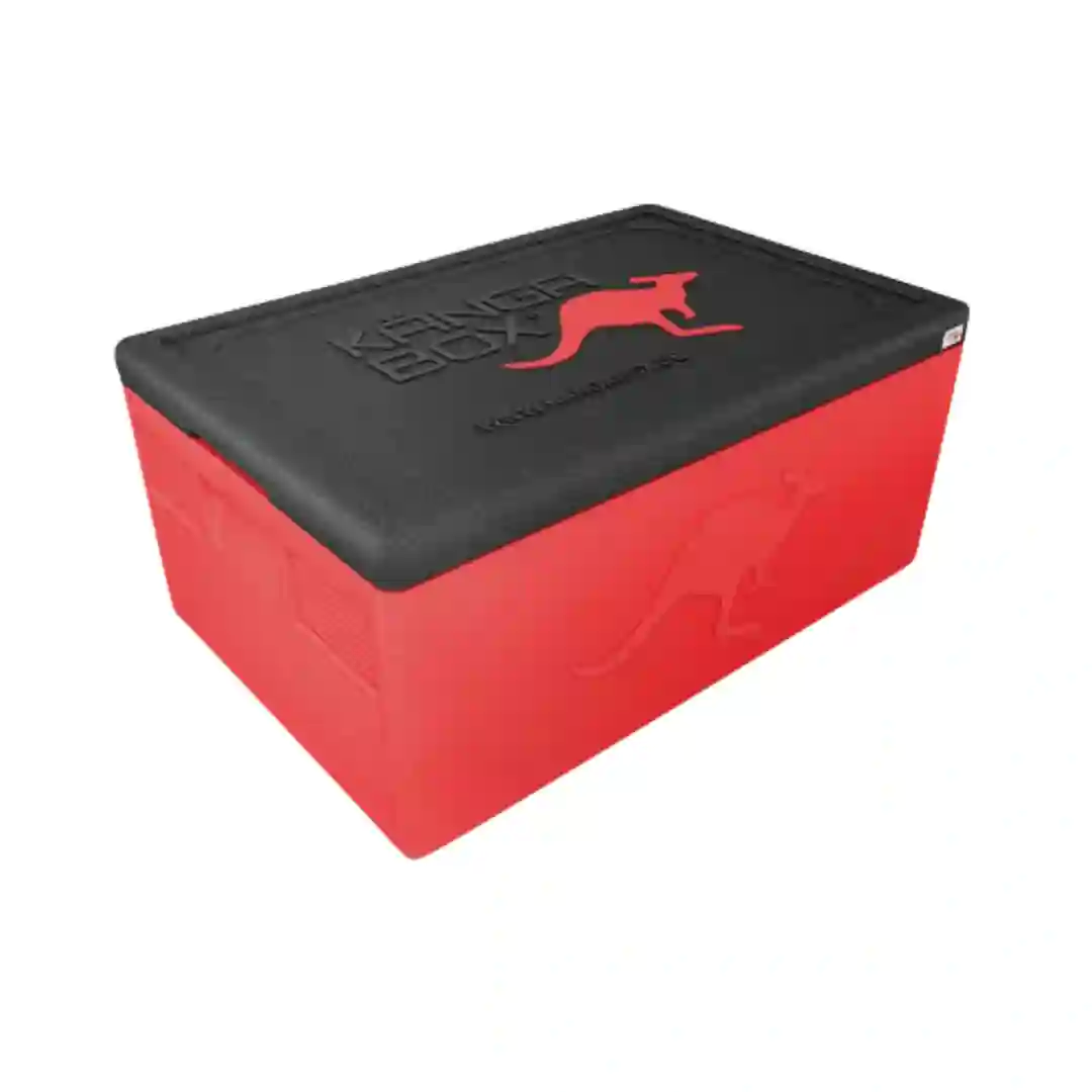 Termokasse 1/1 GN Prof