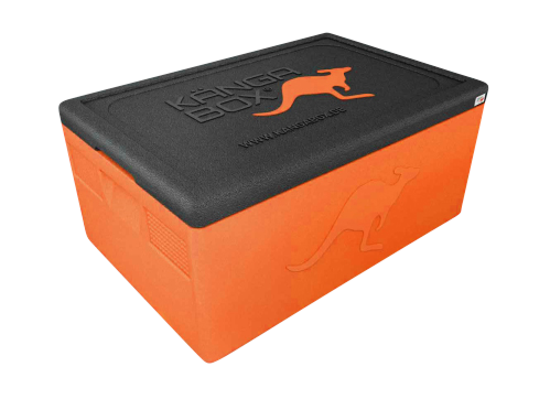 Termokasse 1/1 GN Prof