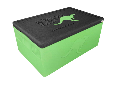 Termokasse 1/1 GN Prof