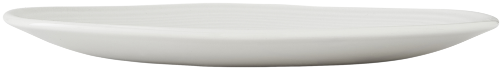 Tallerken Orbita