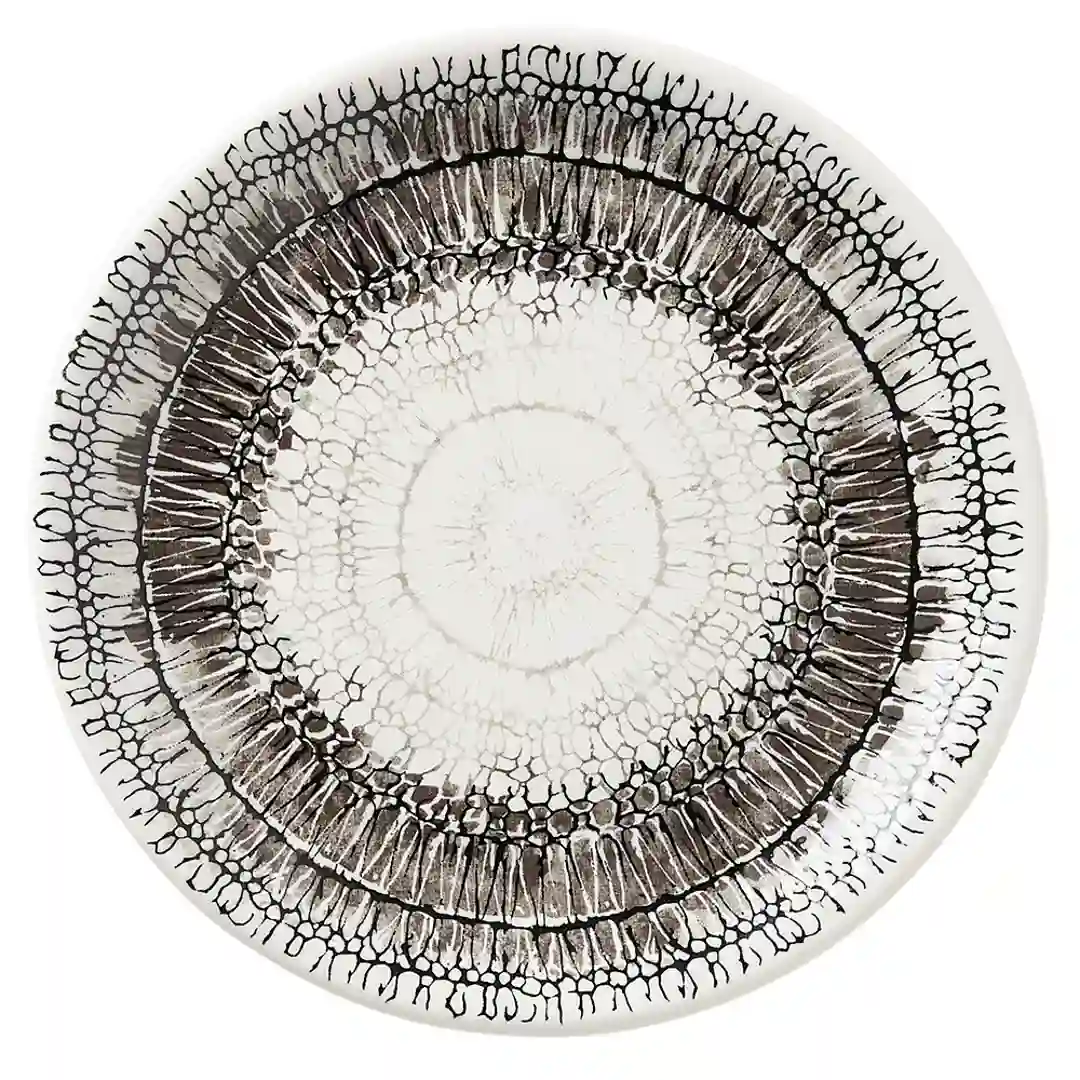 Tallerken Coupe Petra