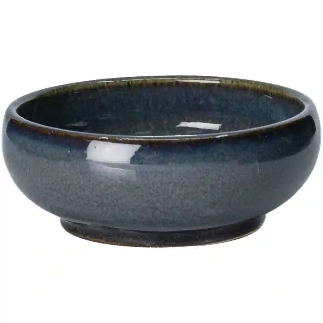 Skål Blue