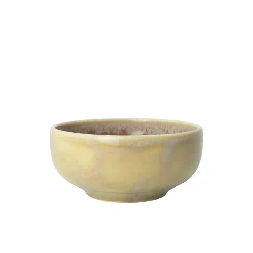 Skål Aurora Vesuvius