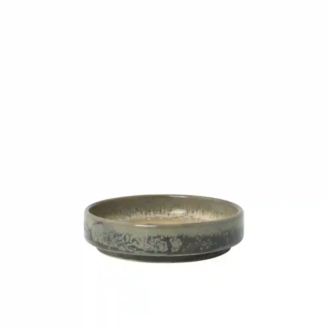 Skål Aurora Revolution