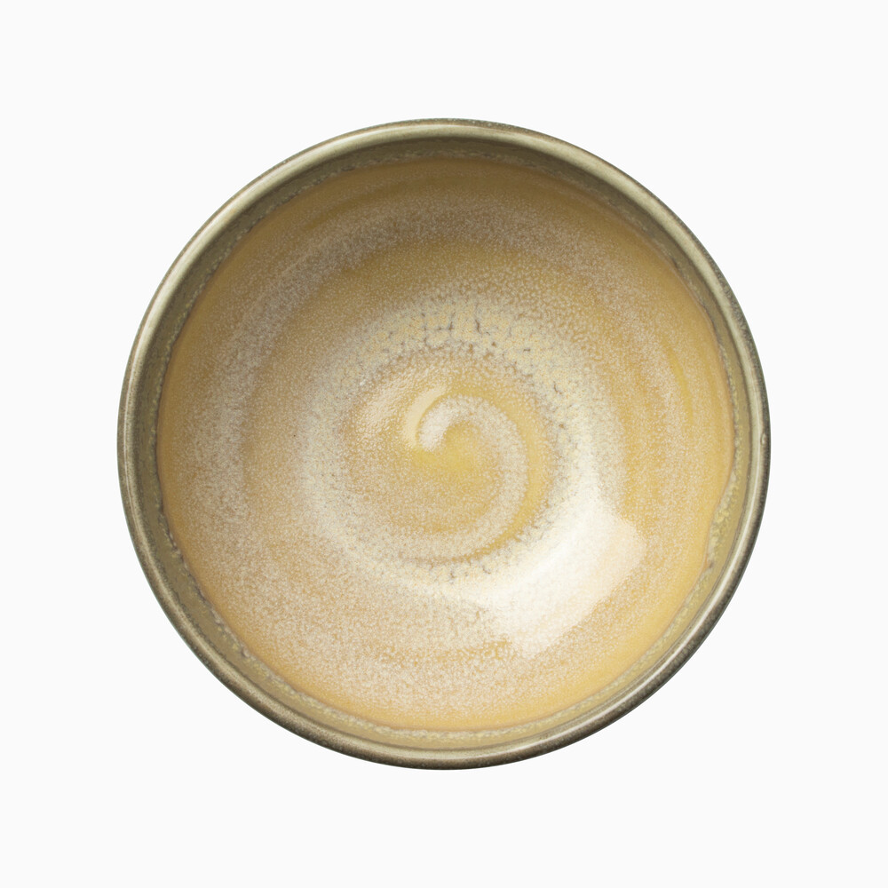 Skål Aurora Revolution