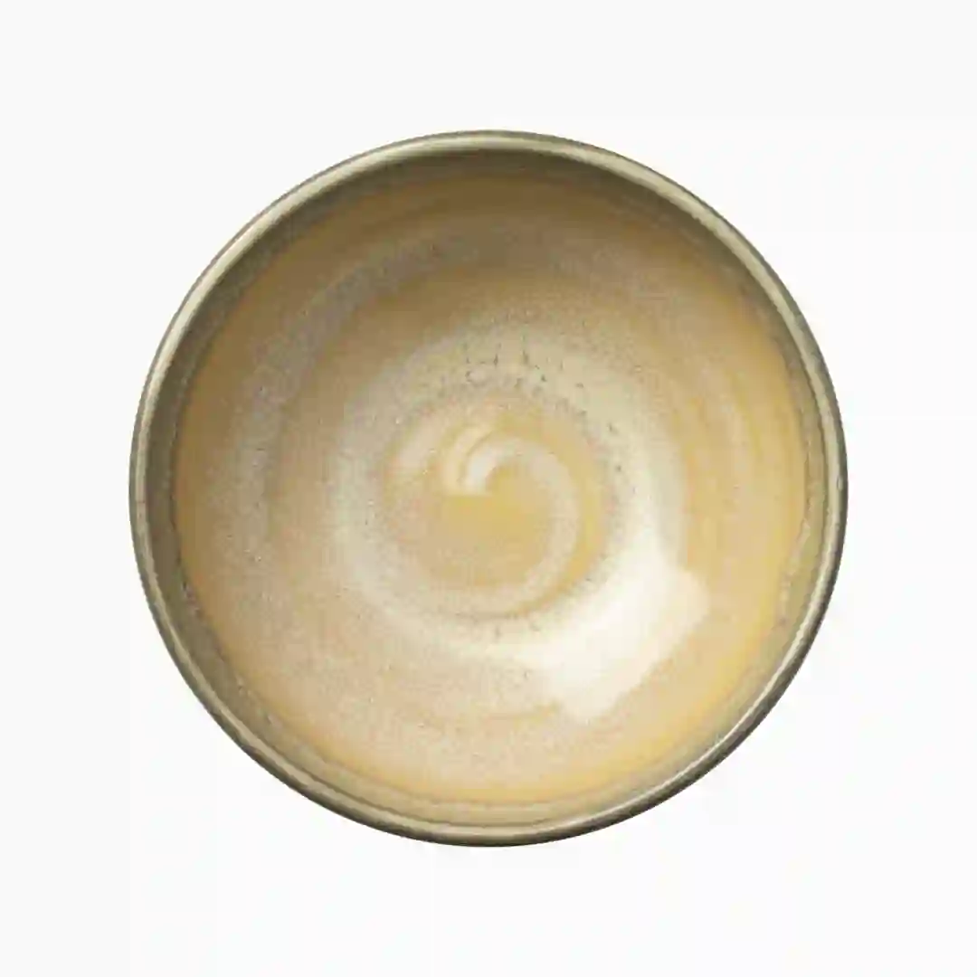 Skål Aurora Revolution