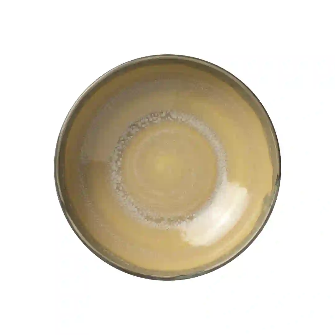 Skål Aurora Revolution