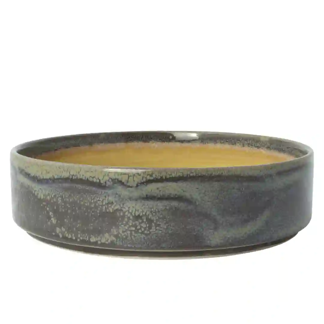 Skål Aurora Revolution