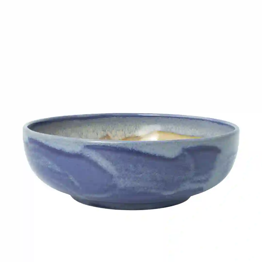 Skål Aurora Revolution