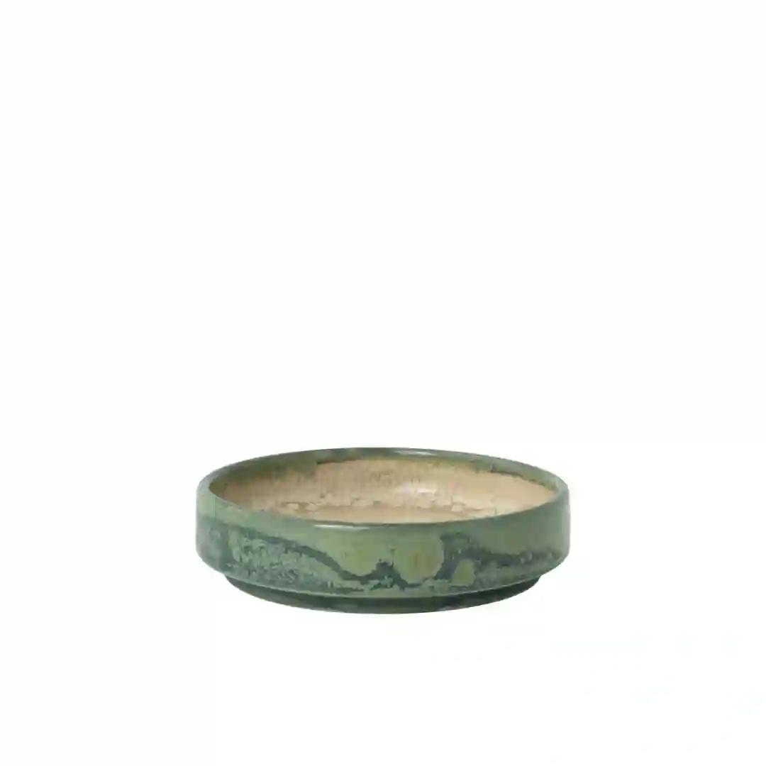 Skål Aurora Revolution