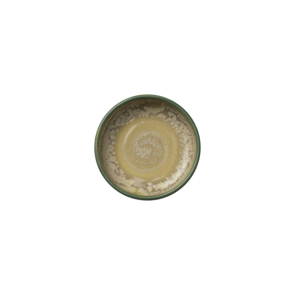 Skål Aurora Revolution