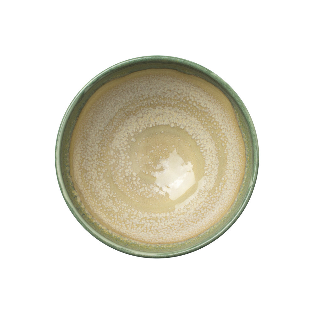 Skål Aurora Revolution