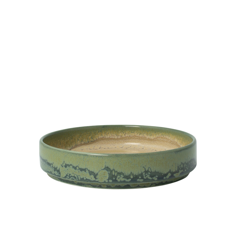 Skål Aurora Revolution